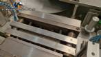 Sarong SAAS model blister forming and sealing machine for suppositories.