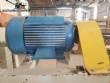 Stainless steel hammer mill 30 hp Tigre