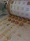 Rotary molding machine for producing dulce de leche and other food products