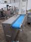 VEMAG 3-ton-per-hour automatic meat and nugget forming line