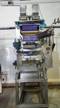 Sachet filling machine with 12 ways