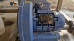 Incalfer double stage continuous stainless steel vegetable washer