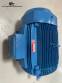 Conventional electric motor WEG