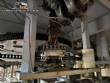 Automatic washer rinser with 30 PET clamps Monthly 9,000 bottles