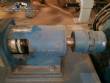 Worm pump Netzsch