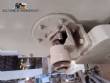 200 liter stainless steel jacketed paddle mixer