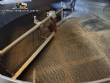 Stainless Steel Peanut Dryer