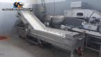 Stainless steel fish/seafood glazing machine Brusinox 1500 kg/h