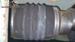 Nemo Netzsch helical positive pump