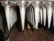 Manufacturer of ice cream cones for 60-cavity cone-shaped desserts.
