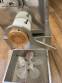 La Monferrina P6 short and long pasta extruder